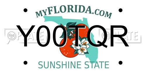 Y00TQR Florida License Plate