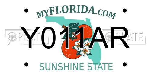 Y011AR Florida License Plate