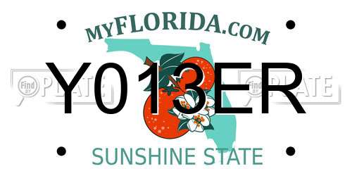 Y013ER Florida License Plate