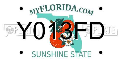 Y013FD Florida License Plate