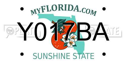 Y017BA Florida License Plate