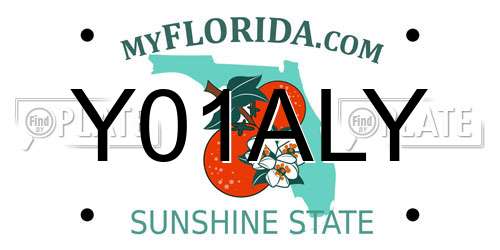 Y01ALY Florida License Plate