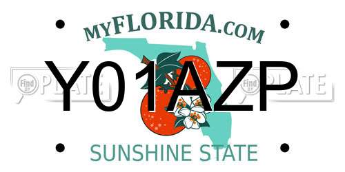 Y01AZP Florida License Plate