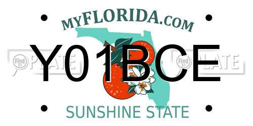 Y01BCE Florida License Plate