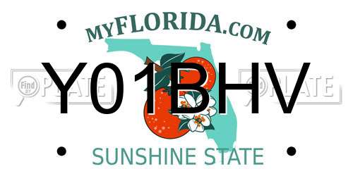 Y01BHV Florida License Plate