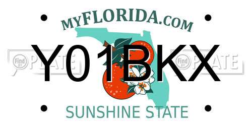 Y01BKX Florida License Plate