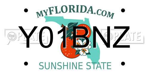 Y01BNZ Florida License Plate