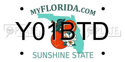 Y01BTD Florida License Plate