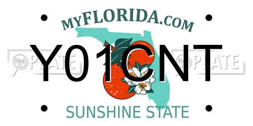 Y01CNT Florida License Plate