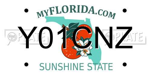 Y01CNZ Florida License Plate