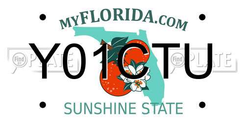 Y01CTU Florida License Plate