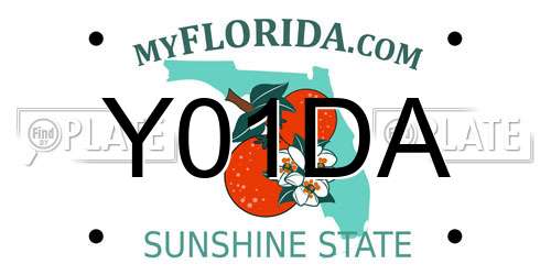 Y01DA Florida License Plate