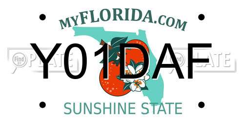 Y01DAF Florida License Plate
