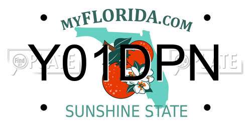 Y01DPN Florida License Plate