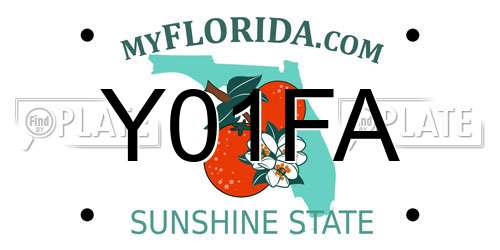 Y01FA Florida License Plate