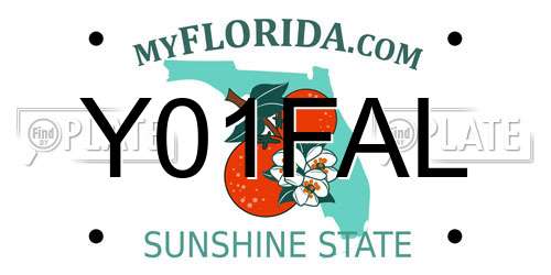 Y01FAL Florida License Plate