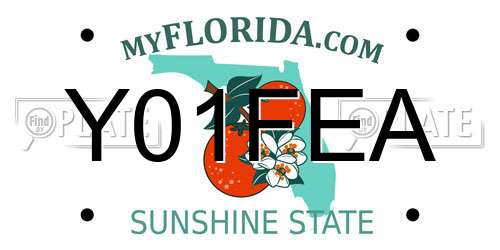 Y01FEA Florida License Plate