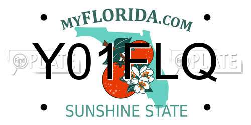 Y01FLQ Florida License Plate