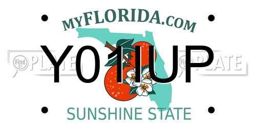 Y01IUP Florida License Plate