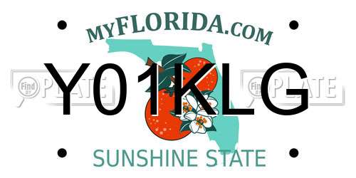 Y01KLG Florida License Plate