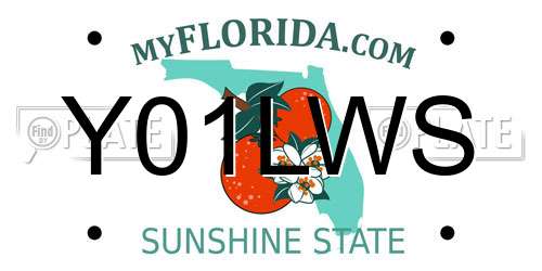 Y01LWS Florida License Plate