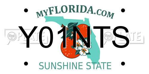 Y01NTS Florida License Plate