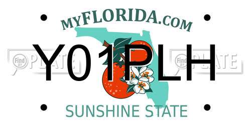 Y01PLH Florida License Plate