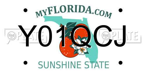 Y01QCJ Florida License Plate