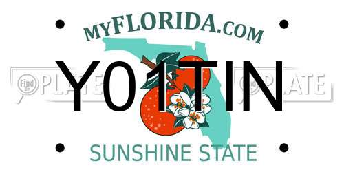 Y01TIN Florida License Plate