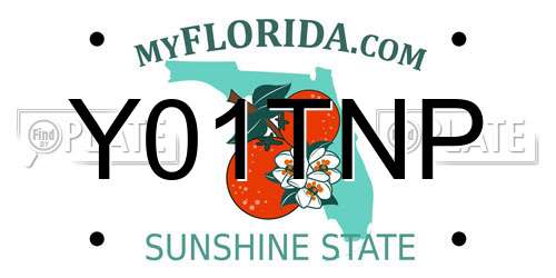 Y01TNP Florida License Plate