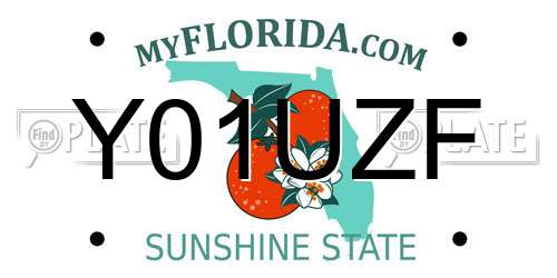 Y01UZF Florida License Plate