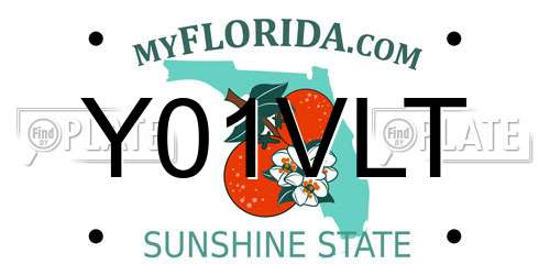 Y01VLT Florida License Plate