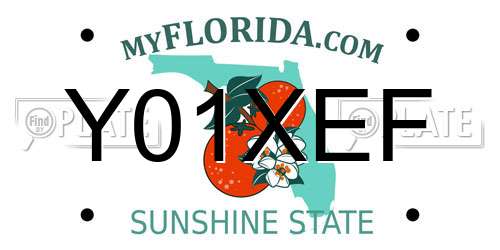 Y01XEF Florida License Plate