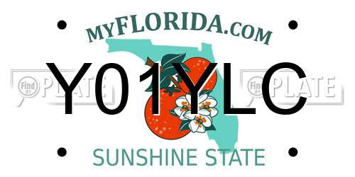 Y01YLC Florida License Plate