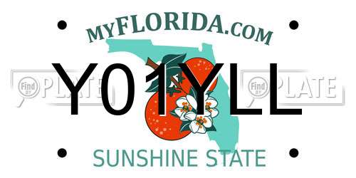 Y01YLL Florida License Plate