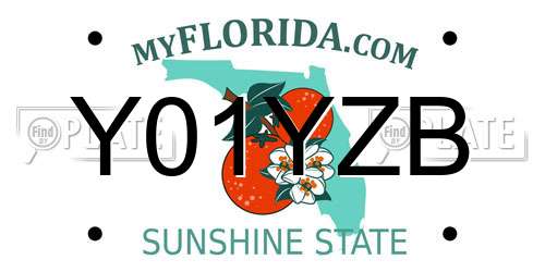 Y01YZB Florida License Plate