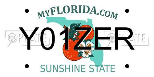 Y01ZER Florida License Plate