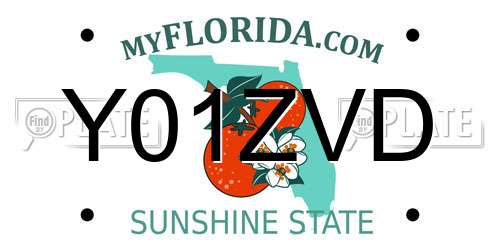 Y01ZVD Florida License Plate