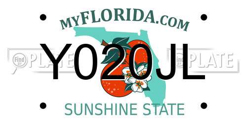 Y020JL Florida License Plate