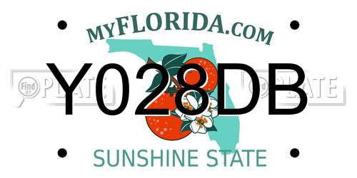 Y028DB Florida License Plate