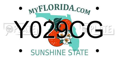 Y029CG Florida License Plate
