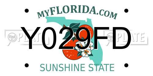 Y029FD Florida License Plate