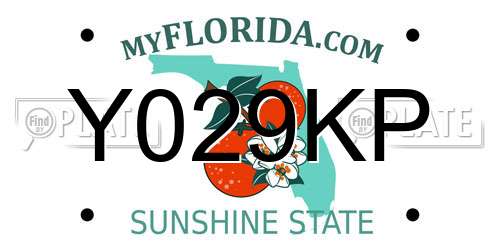 Y029KP Florida License Plate