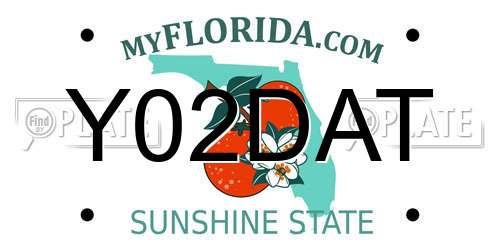 Y02DAT Florida License Plate