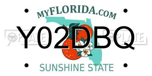 Y02DBQ Florida License Plate
