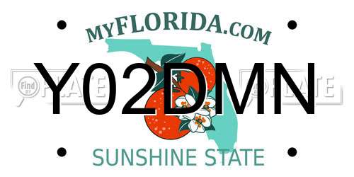 Y02DMN Florida License Plate