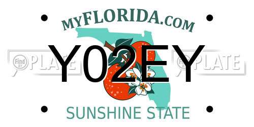 Y02EY Florida License Plate