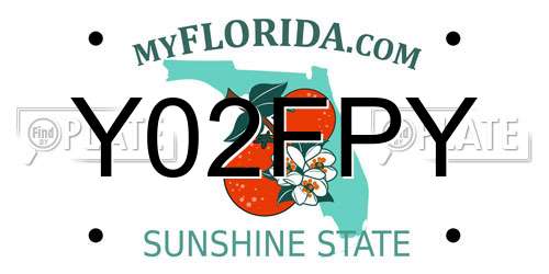Y02FPY Florida License Plate