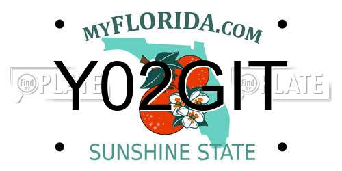 Y02GIT Florida License Plate