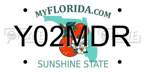 Y02MDR Florida License Plate